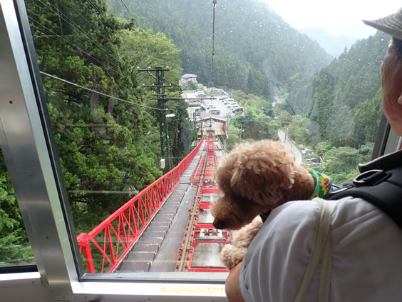 御岳登山鉄道 モデルコース 愛犬散歩コース ケーブルカー乗車