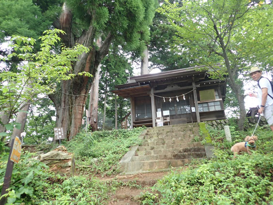 御岳登山鉄道 モデルコース 愛犬散歩コース 産安社へ