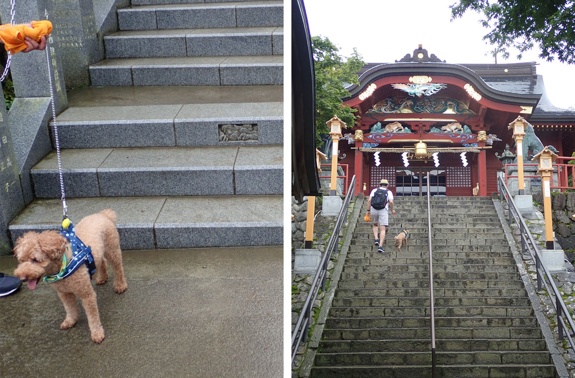 御岳登山鉄道 モデルコース 愛犬散歩コース 武蔵御嶽神社へ
