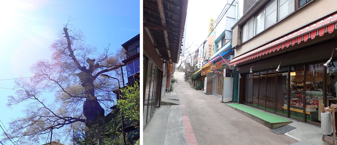 御岳登山鉄道 モデルコース 武蔵御嶽神社コース 参道