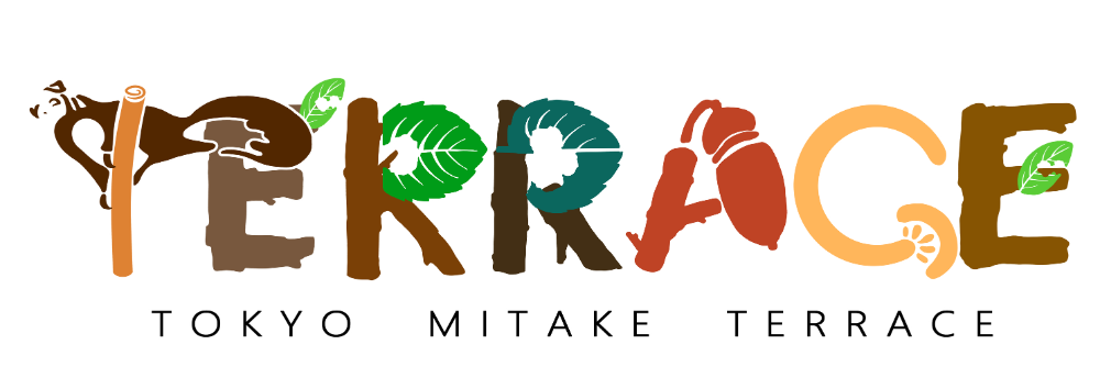 TOKYO MITAKE TERRACE 標高882mの展望エリア